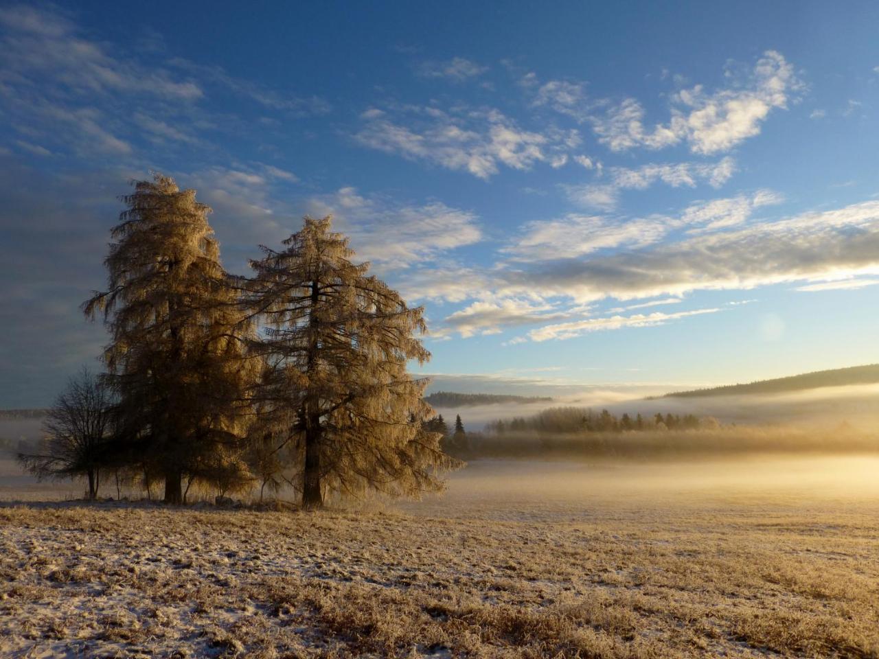 Apartmán U Votápků Nove Hute Exteriér fotografie